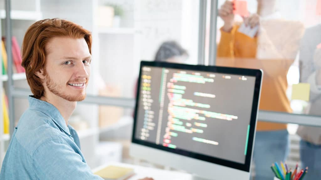 Wordpress Developer gesucht